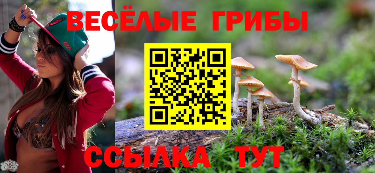 Галлюциногенные грибы Cubensis Вышний Волочёк